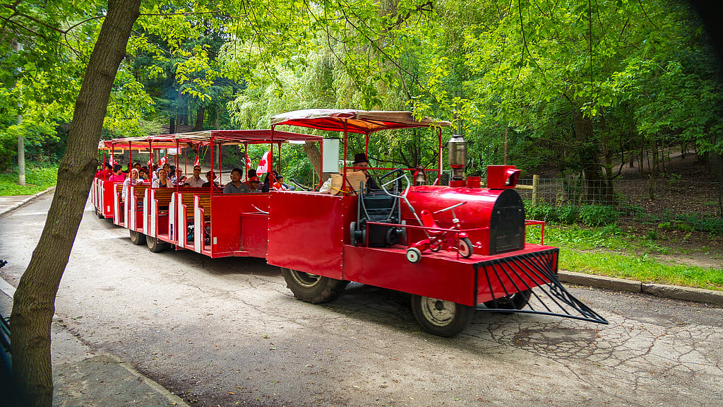 ছবি: অ্যাশলি ডাফুস