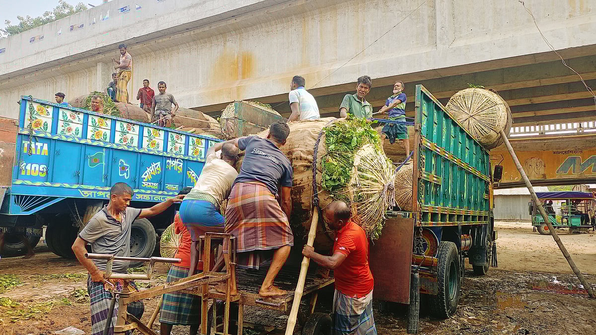 ছবি: প্রথম আলো
