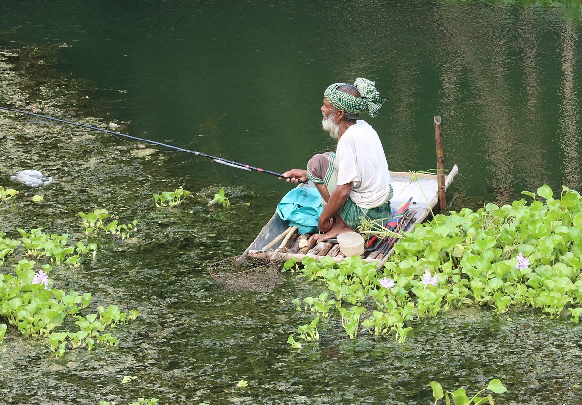 ছবি: আলীমুজ্জামান 