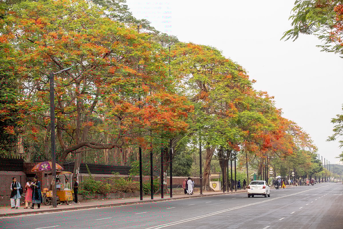 ছবি: সুমন ইউসুফ