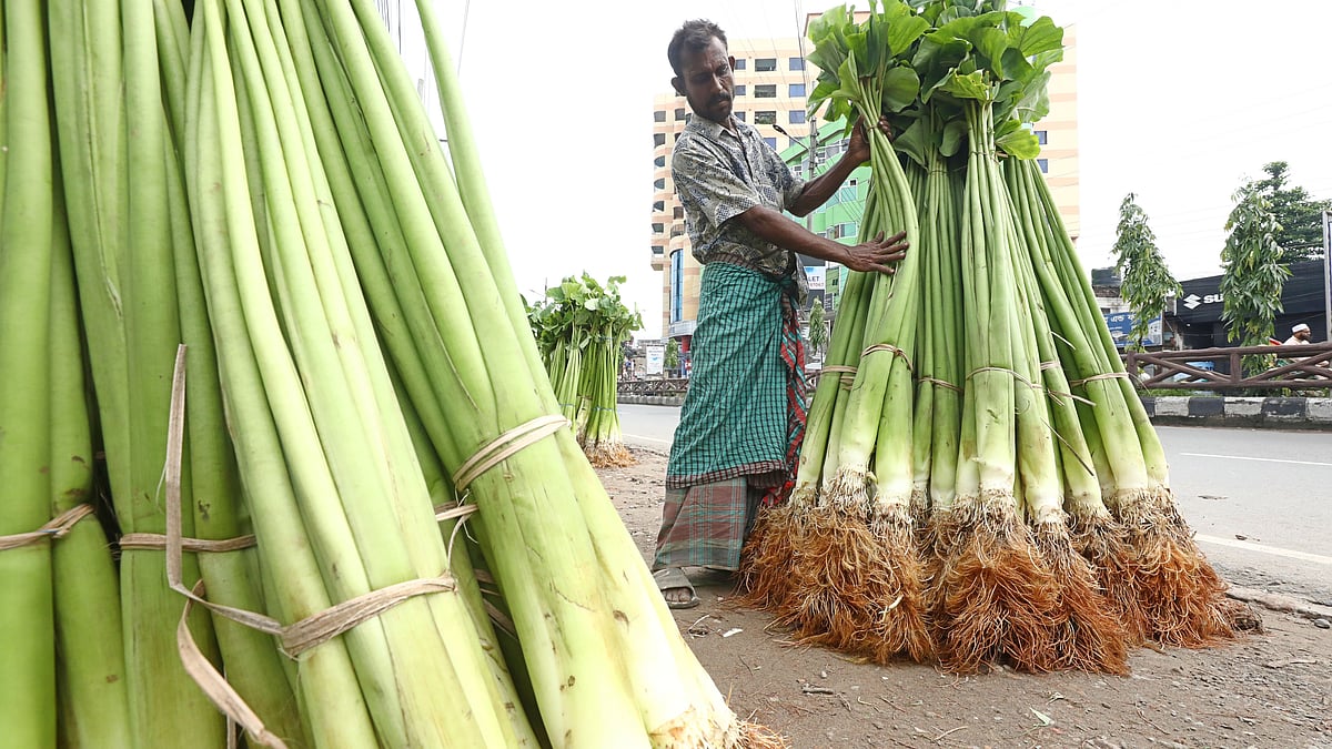 ছবি: আনিস মাহমুদ