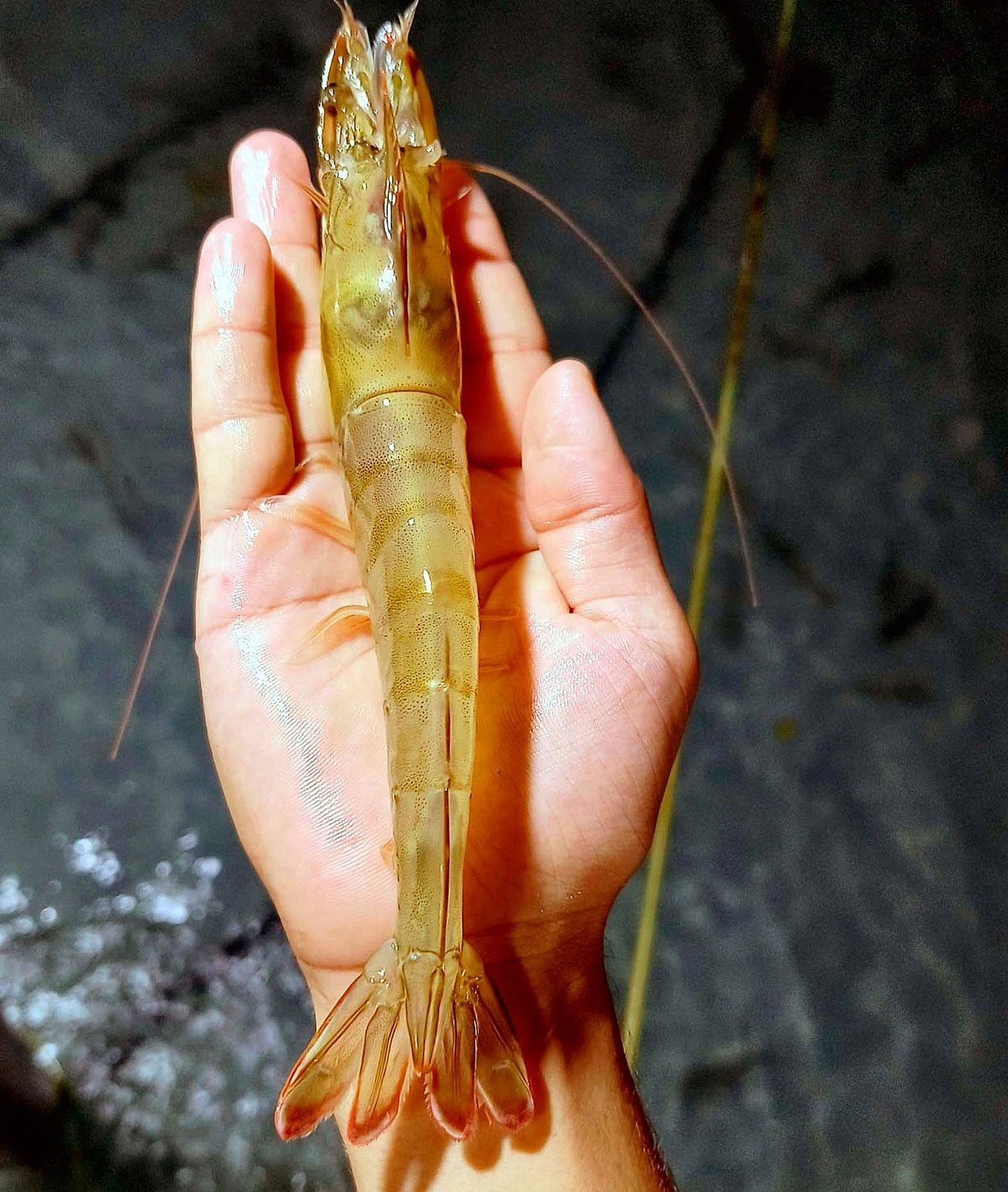 ছবি: প্রথম আলো