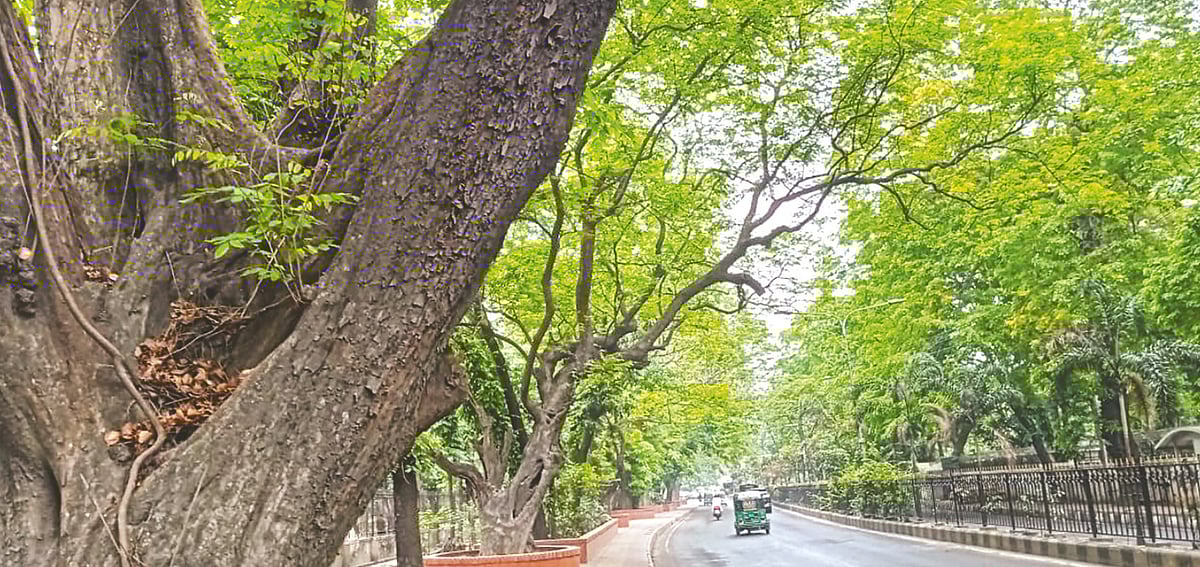 মন্ত্রিপাড়ায় থাকবেন শুধু মন্ত্রীরা, ৭১টি বাড়ি নির্ধারণ