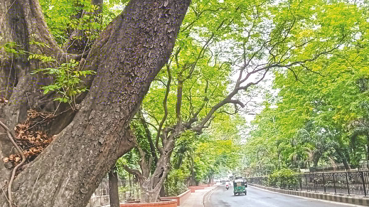 ছবি: প্রথম আলো