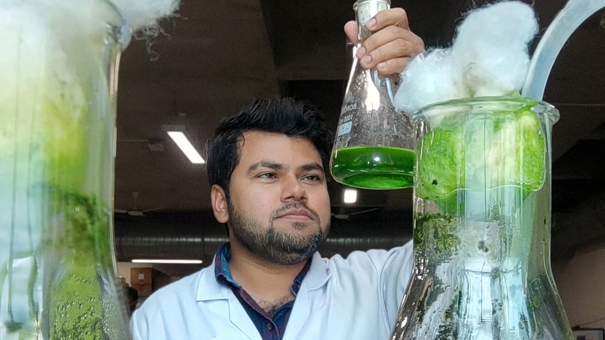 ছবি: লেখকের সৌজন্যে