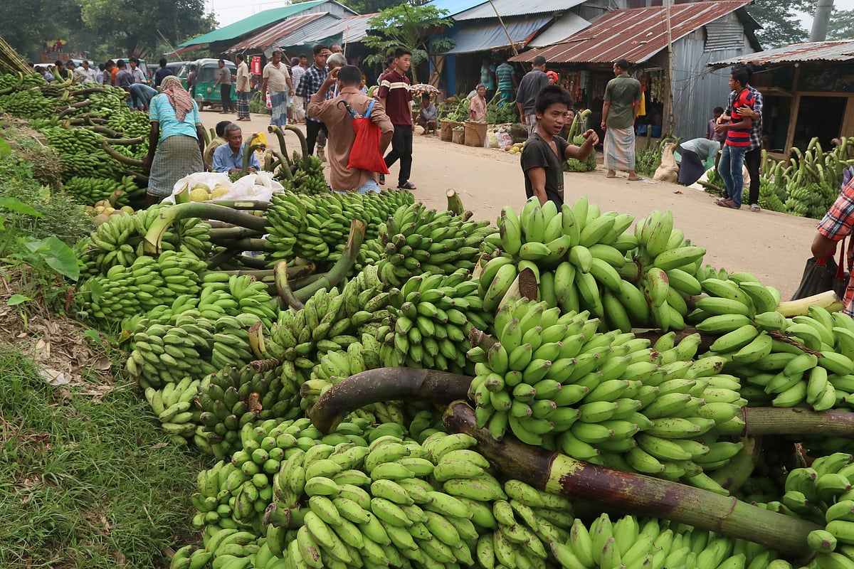 ছবি: সুপ্রিয় চাকমা 