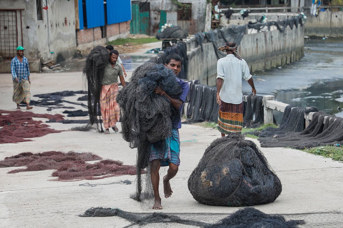 শুকানোর পর নেওয়া হচ্ছে জাল 