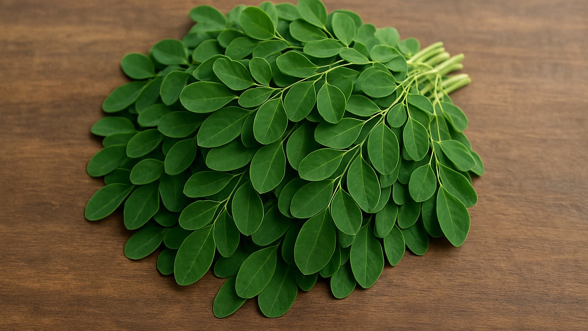 ছবি: এআই/প্রথম আলো