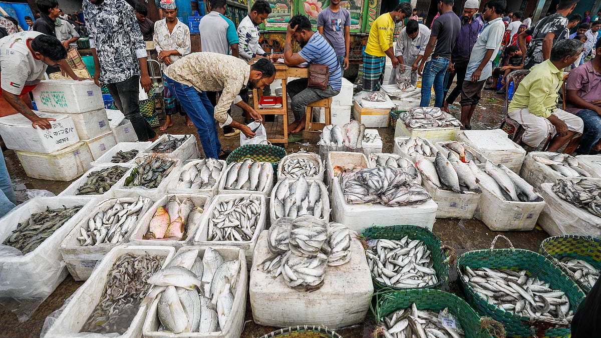 শোলার বক্সে রাখা হিমায়িত ও বরফ দেওয়া হরেক রকমের মাছ।