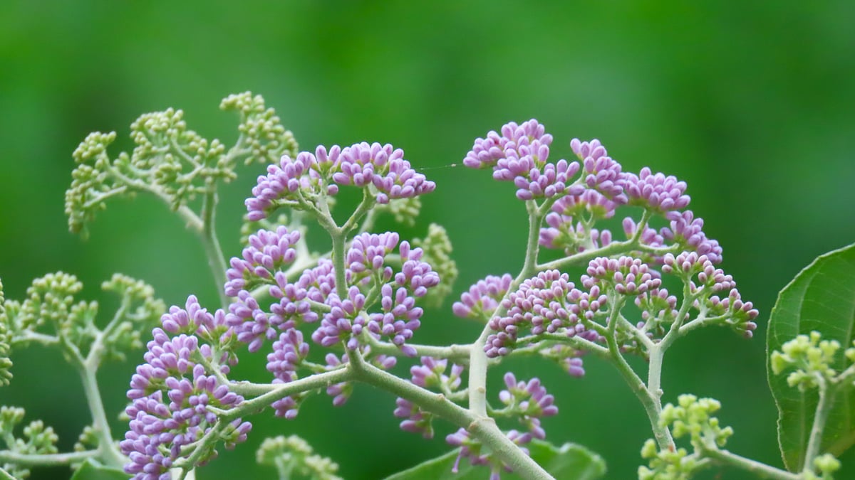 ছবি: সাদিক মৃধা