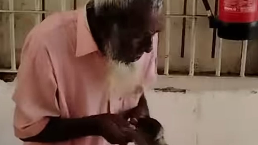  ছবি: ভিডিও থেকে নেওয়া