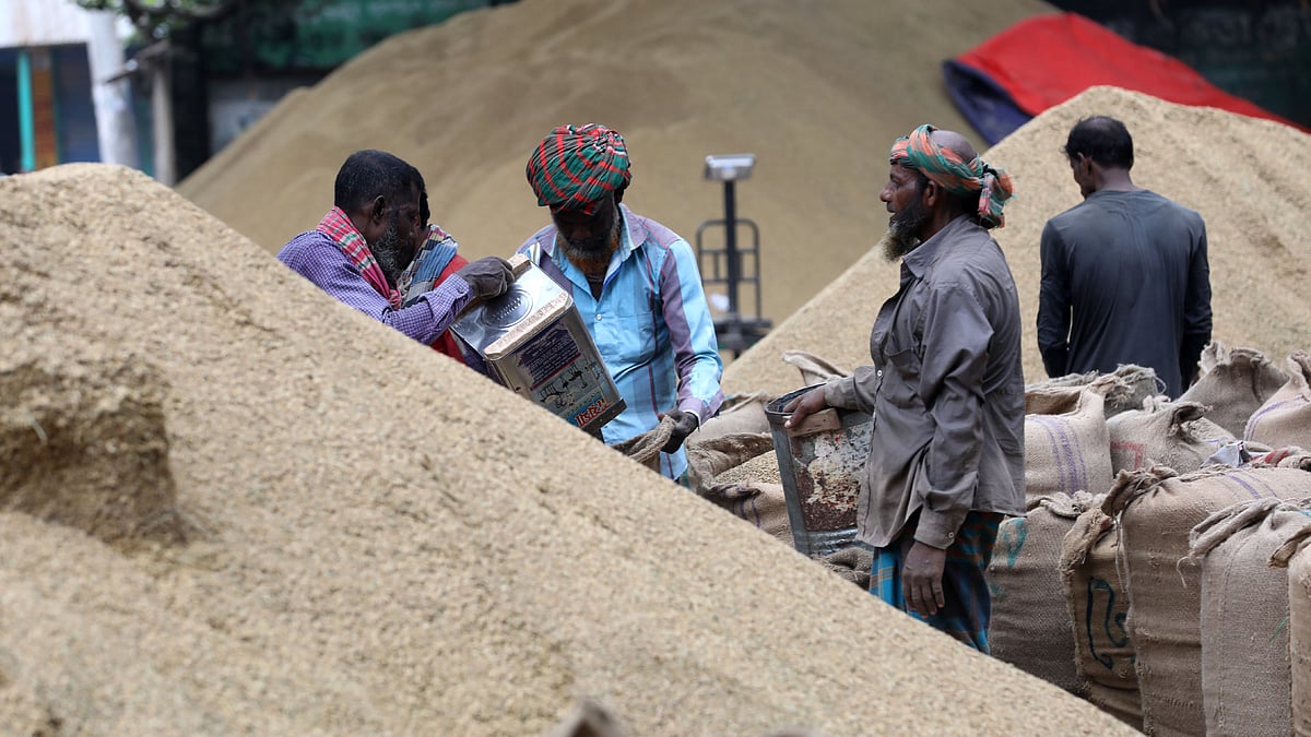 স্তূপ থেকে ধান বস্তায় ভরছেন শ্রমিকেরা
