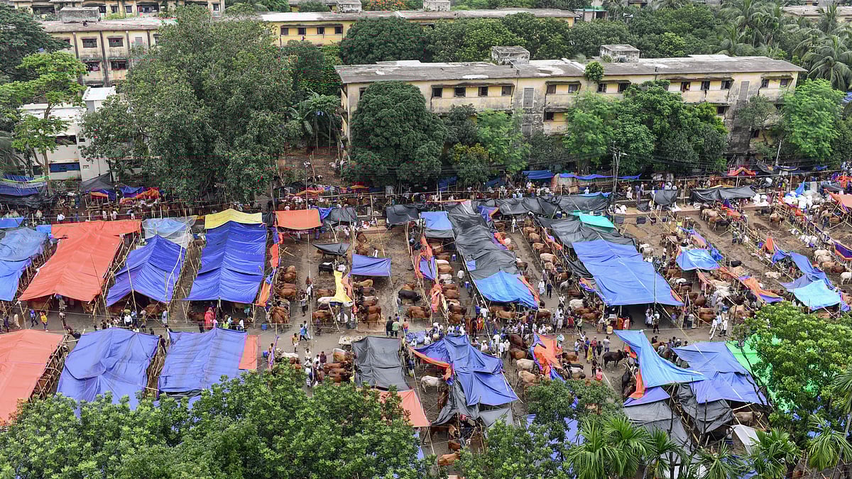 ছবি: মীর হোসেন