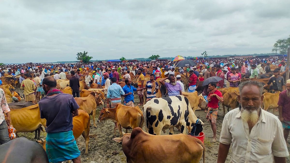 ছবি: প্রথম আলো