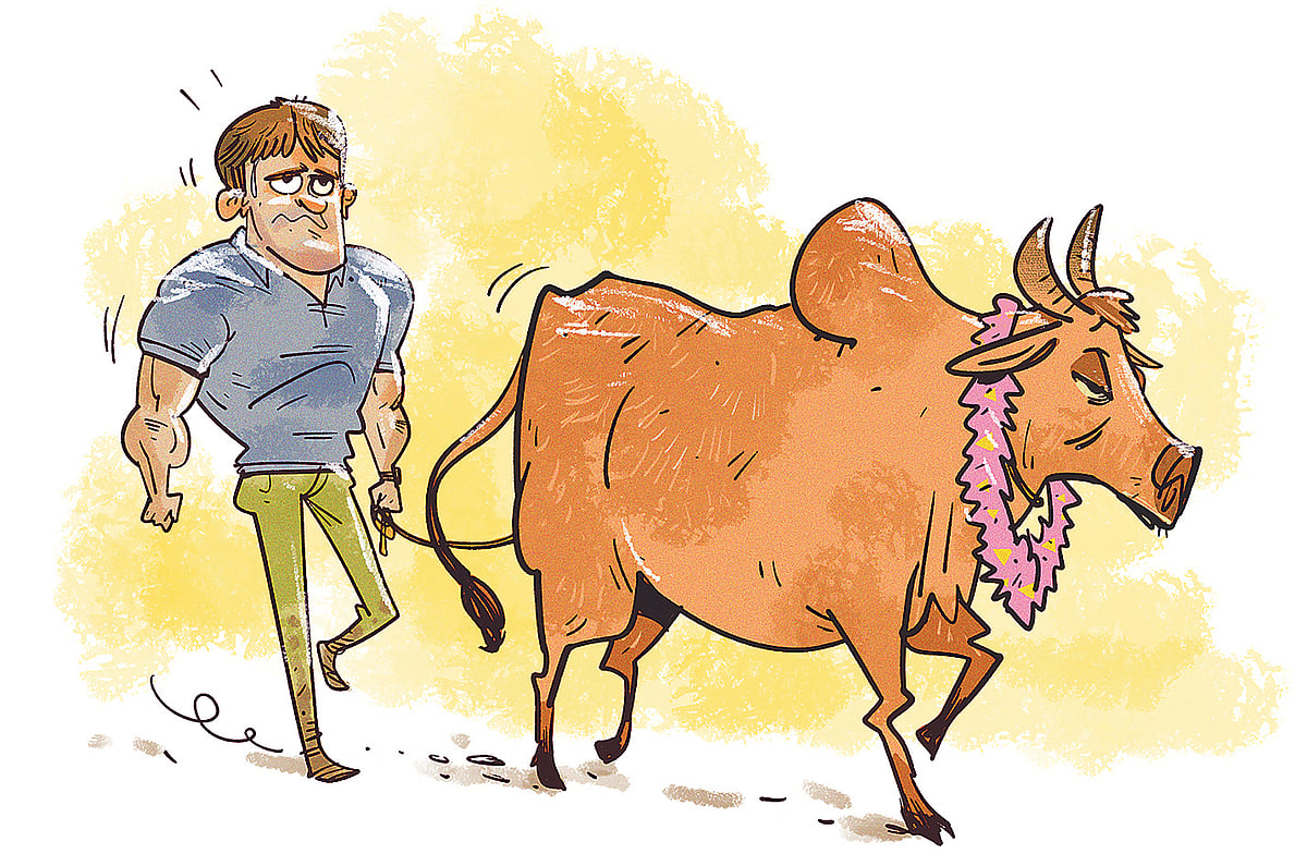 অলংকরণ: আরাফাত করিম