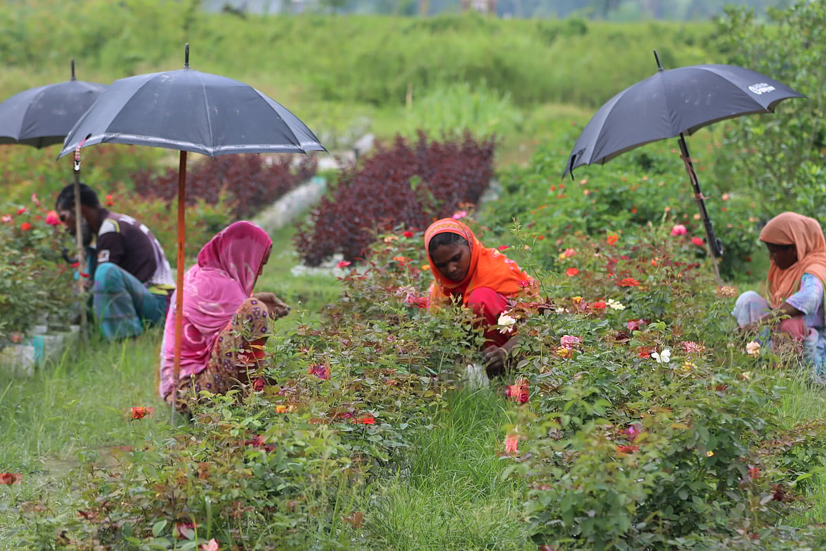ছবি: মঈনুল ইসলাম 