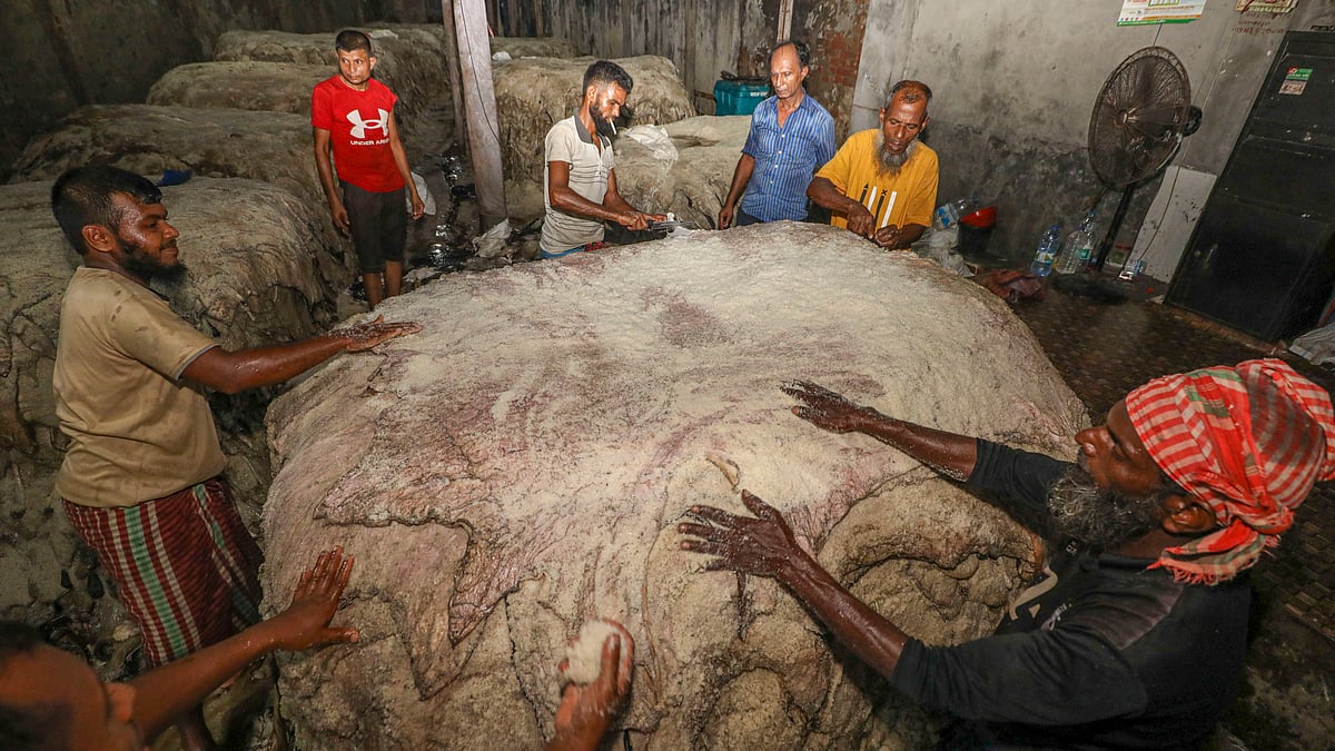 আড়তে কোরবানির চামড়া সংগ্রহের জন্য লবণ দিয়ে রাখছেন শ্রমিকেরা।