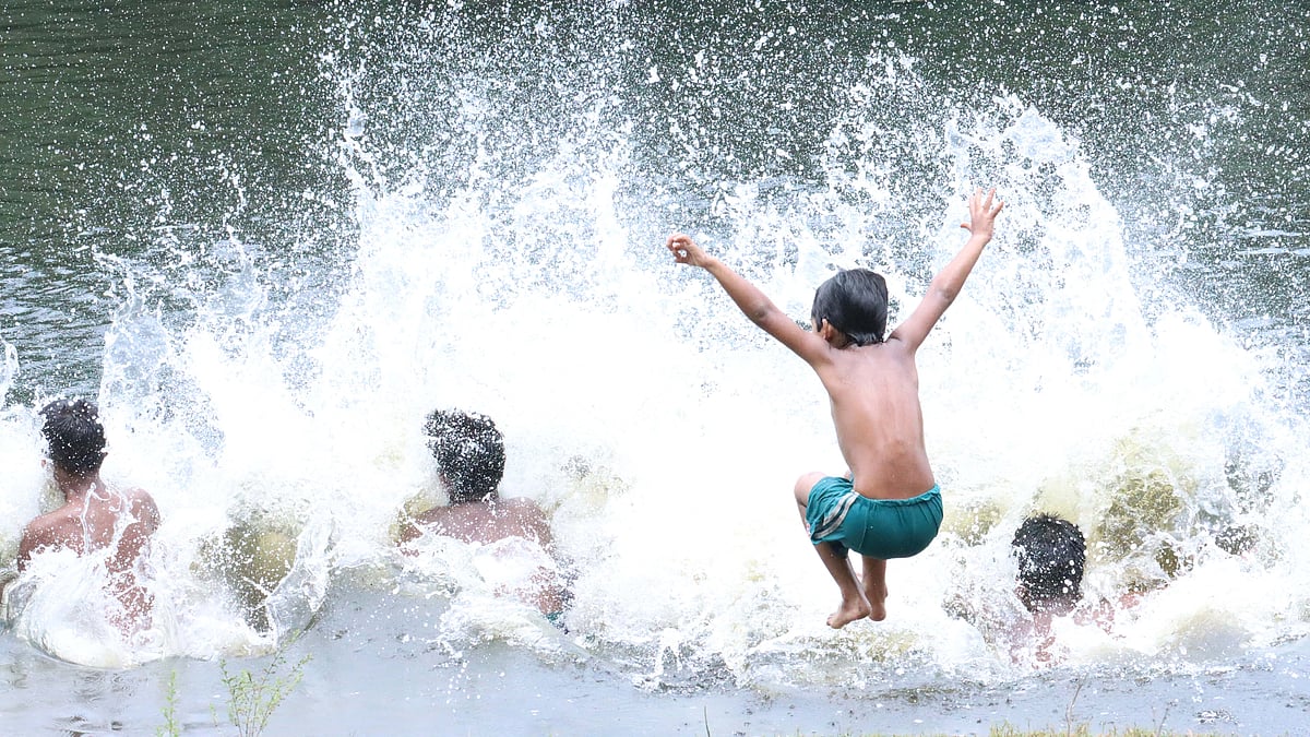 ছবি: আলীমুজ্জামান