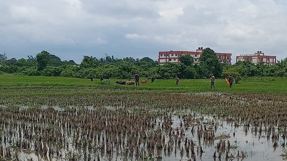 ছবি: প্রথম আলো।