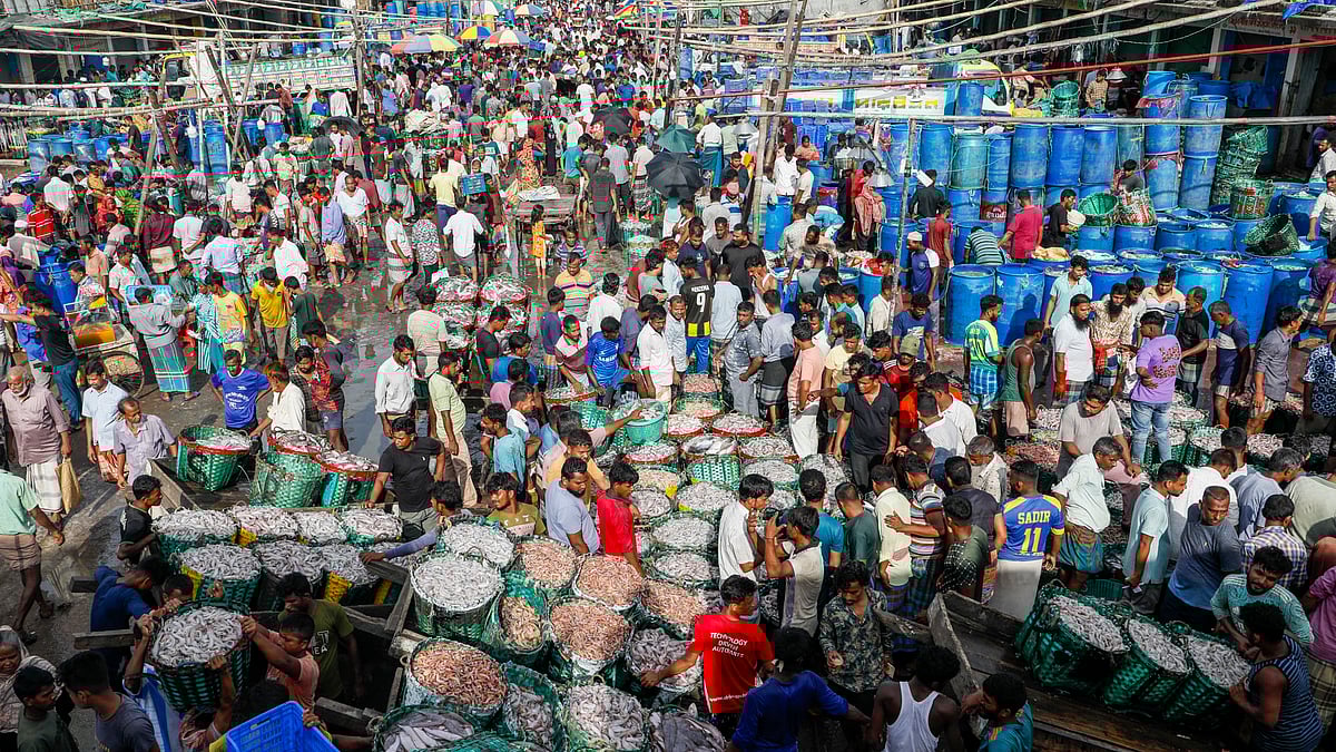 কর্ণফুলীর ঘাটে মাছ নিয়ে ব্যস্ততা