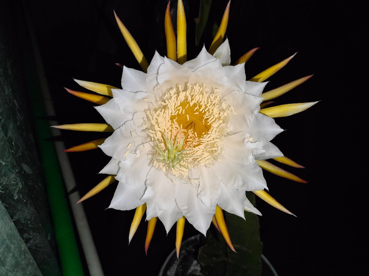 ছবি: সাজেদুল আলম