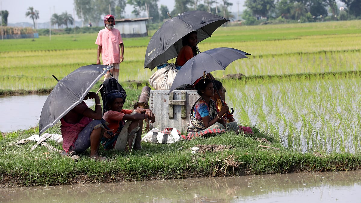 রোদ থেকে রক্ষায় মাথায় ছাতা দিয়ে মাঠে বসে আছেন ধানের চারা রোপণকারী কিষান-কিষানিরা