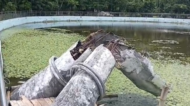 ছবি: প্রথম আলো