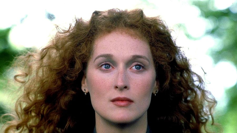 মেরিল স্ট্রিপ। ছবি: আইএমডিবি থেকে