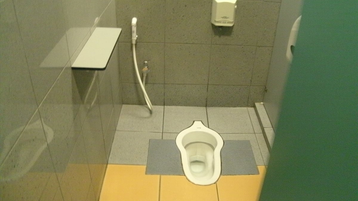 ছবি: উইকিমিডিয়া