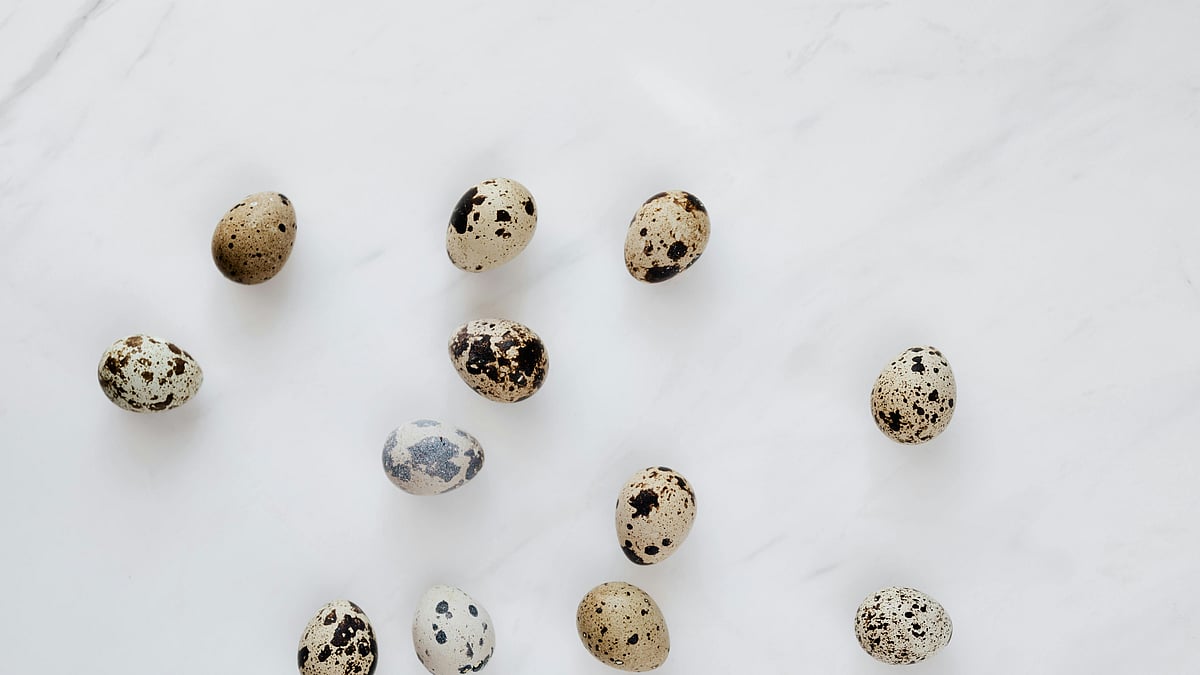 ছবি: পেক্সেলস