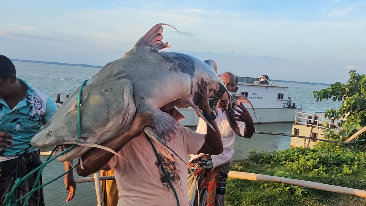 ছবি: প্রথম আলো