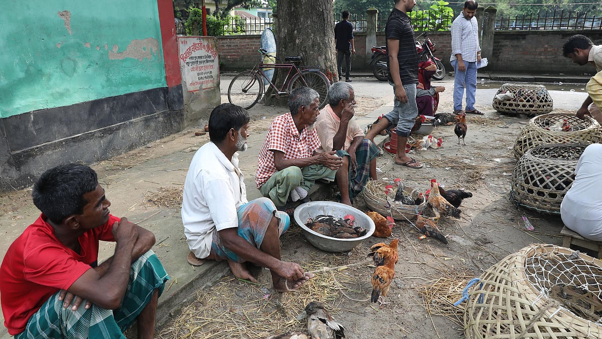 হাটে বিক্রির জন্য হাঁস–মুরগি নিয়ে এসেছেন বিক্রেতারা