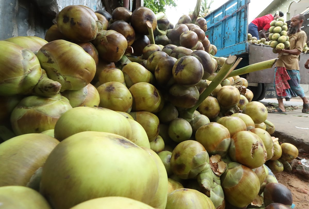 ছবি: সুপ্রিয় চাকমা