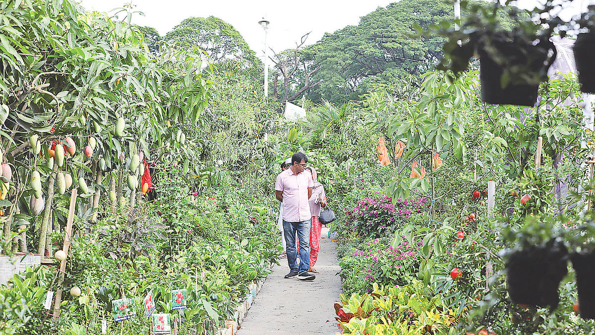 ছবি: প্রথম আলো