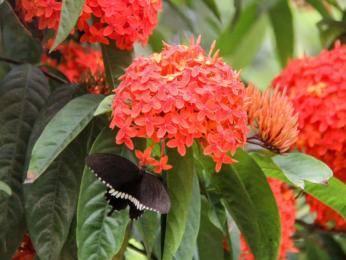 ছবি: তাফসিলুল আজিজ 