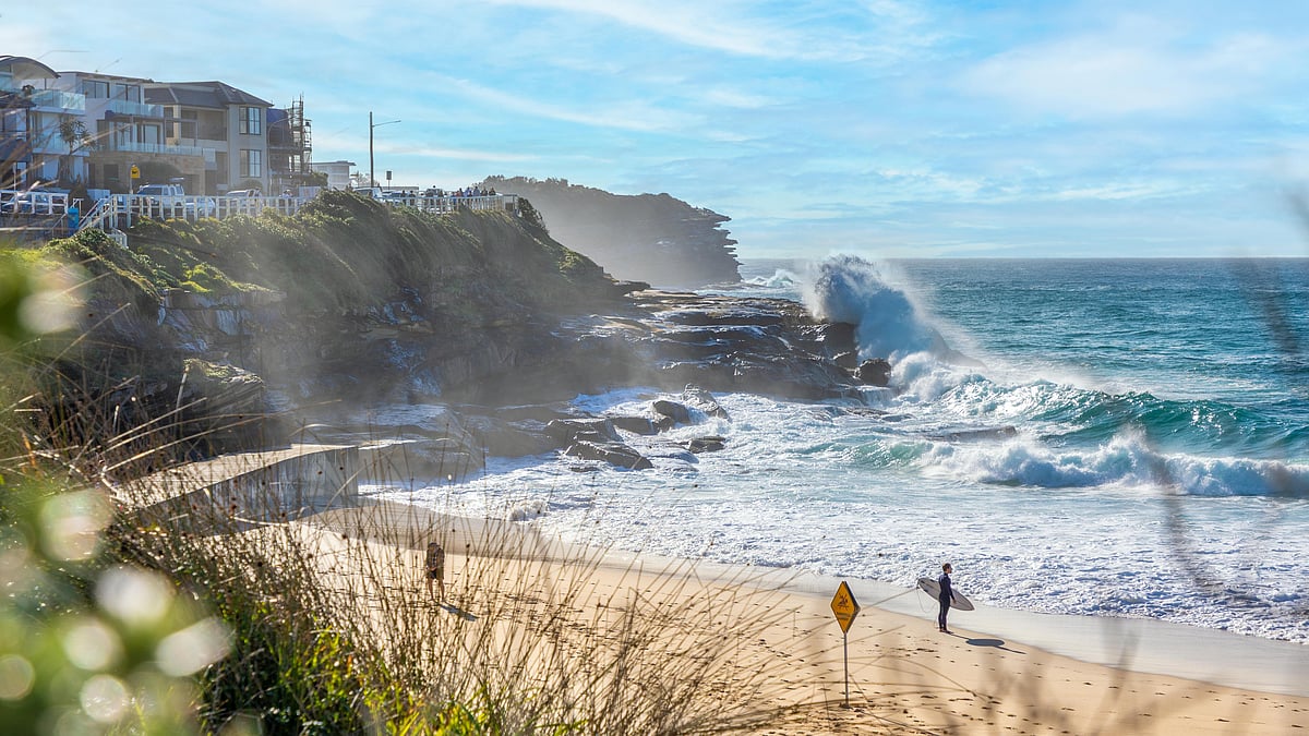 ছবি: পেক্সেলস