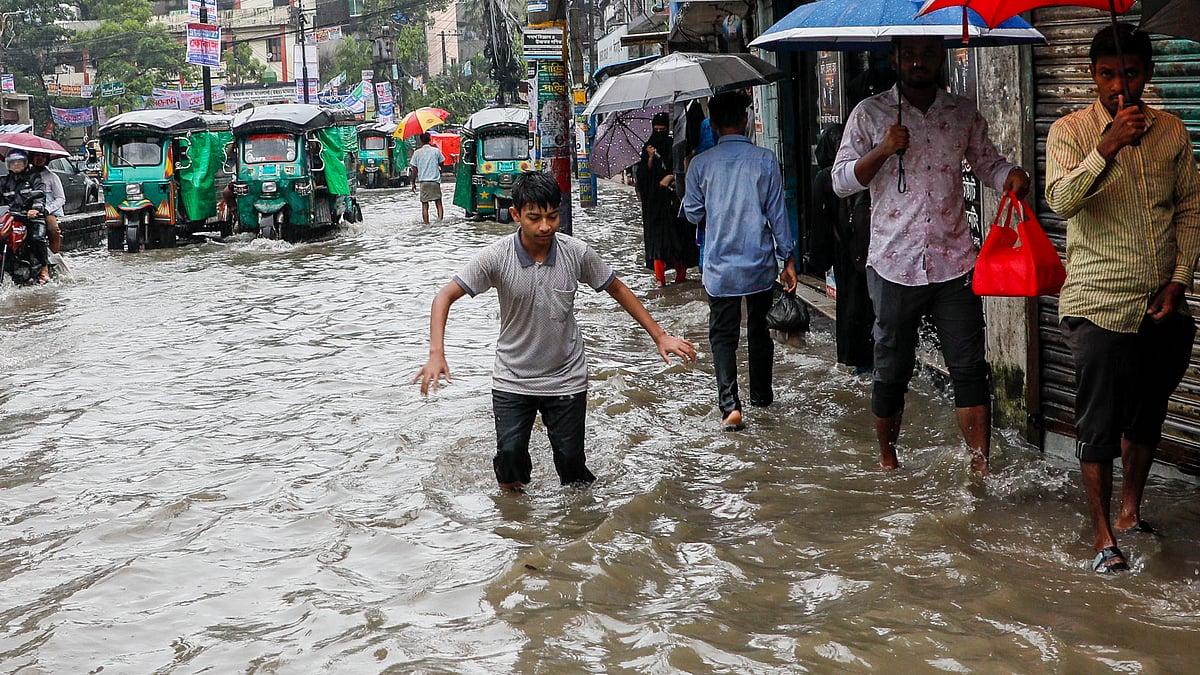 ছবি: সৌরভ দাশ