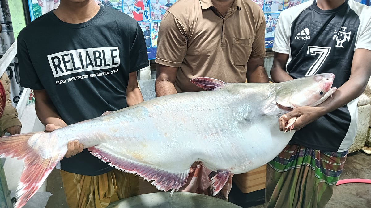 ছবি: প্রথম আলো