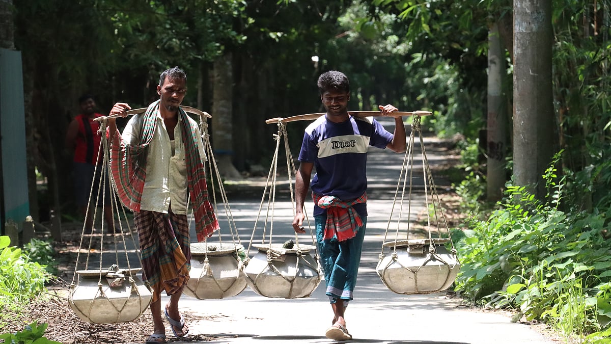 ছবি: আলীমুজ্জামান