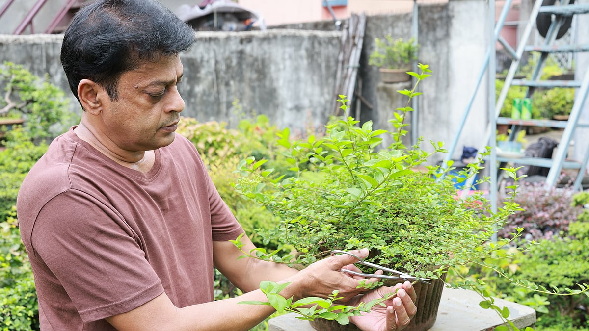 ছবি: কবির হোসেন