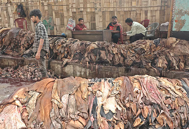চামড়া নিয়ে বসে আছেন আড়তদারেরাফাইল ছবি