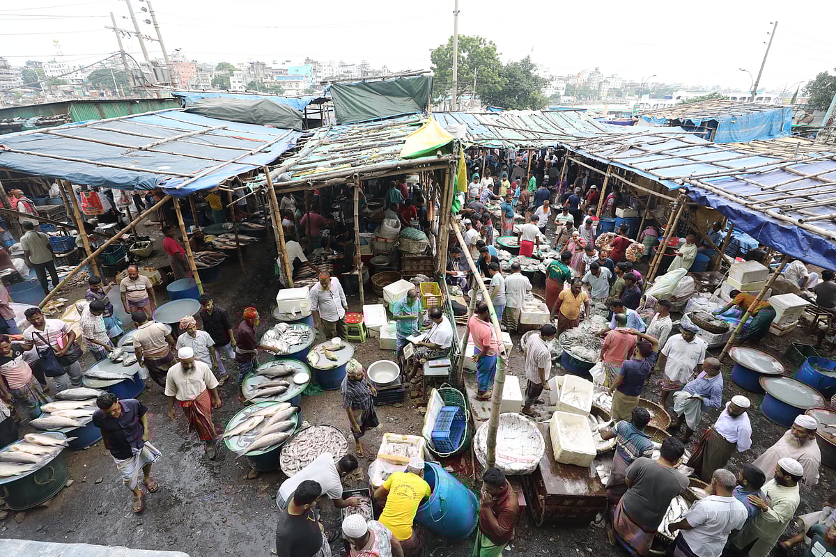  সব মাছের দামই তুলনামূলক চড়া। তাই ক্রেতাদের ভিড়ও তুলনামূলক কম। 