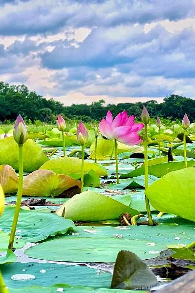 সামাজিক মাধ্যমের কল্যাণে এই জায়গা এখন সুপরিচিত