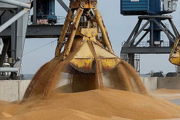 বাংলাদেশের বাজার হারাচ্ছে ইউক্রেন, দাপট বাড়ছে যুক্তরাষ্ট্রের