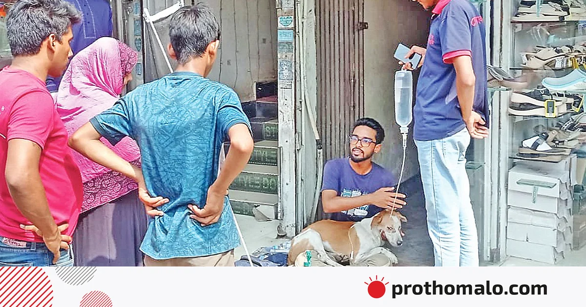এই শহরটা শুধু মানুষের নয়