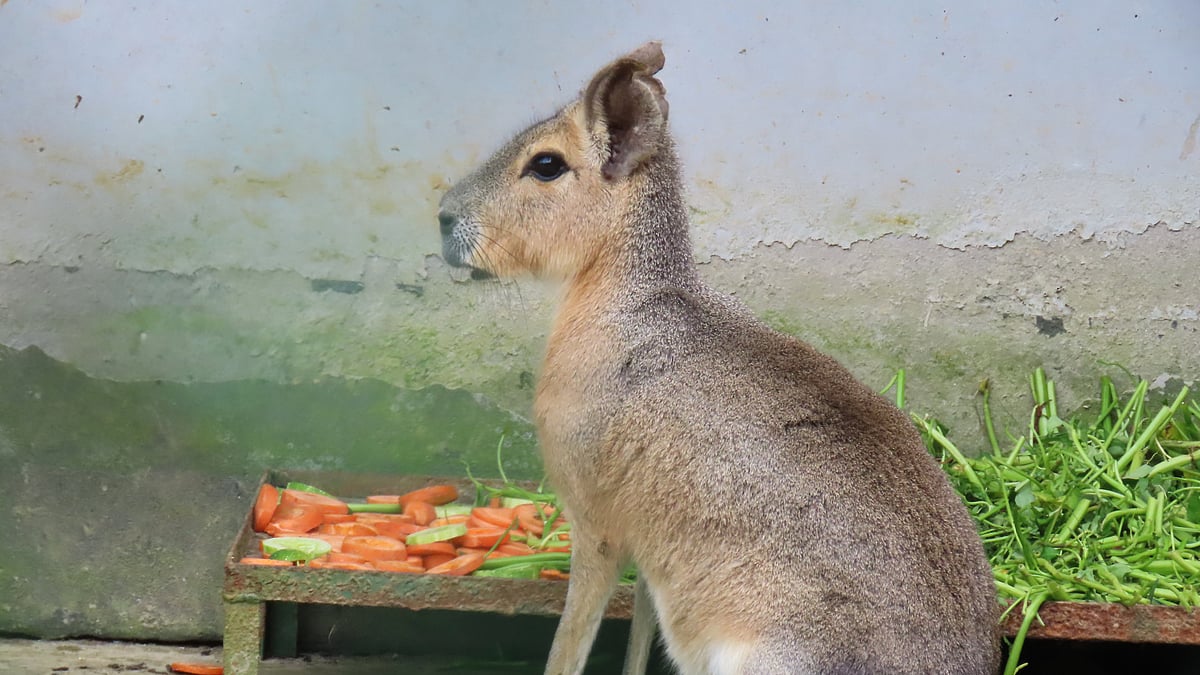 ছবি: সাদিক মৃধা