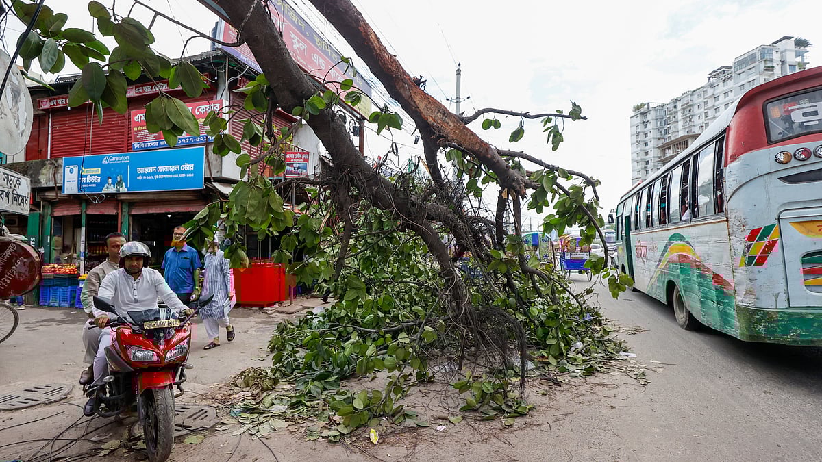 ছবি: তানভীর আহাম্মেদ
