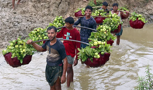 দেশের বিভিন্ন স্থানে যায় সুস্বাদু এই পেয়ারা