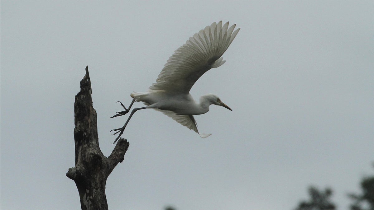ছবি: সুপ্রিয় চাকমা