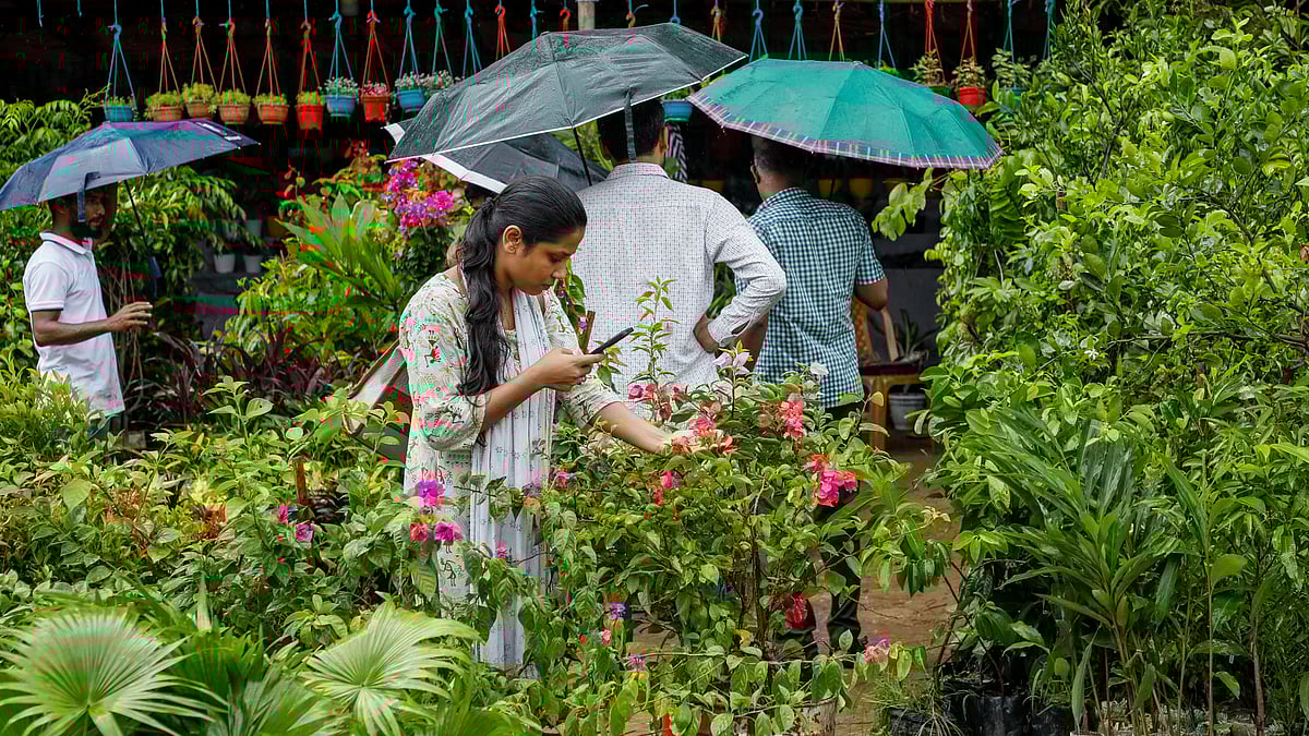 ফুলের ছবি তুলতে ব্যস্ত এক দর্শনার্থী